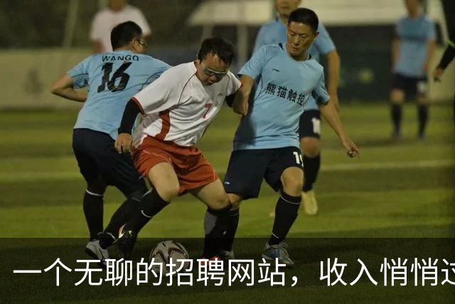 一个"无聊"的招聘网站，收入悄悄过了4万美元