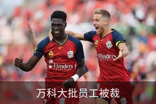万科大批员工被裁