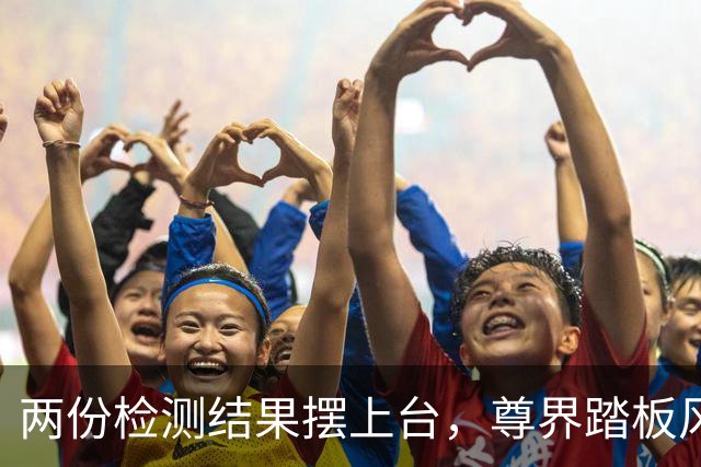 两份检测结果摆上台，尊界踏板风波该听谁的？