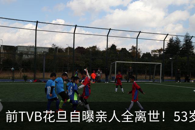 前TVB花旦自曝亲人全离世！53岁丁克无儿女：没有动力赚钱了