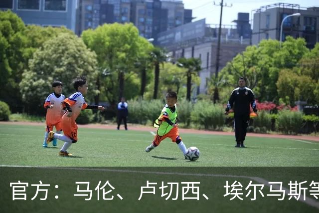 官方：马伦、卢切西、埃尔马斯等5人下轮意甲停赛