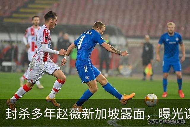 封杀多年赵薇新加坡露面，曝光谋生手段，网友：想不到她会干这个