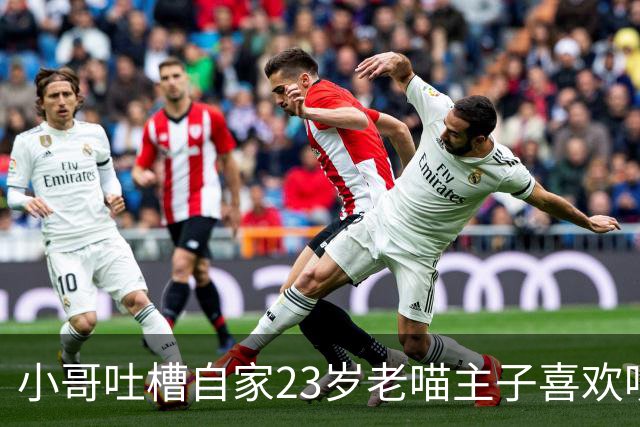 小哥吐槽自家23岁老喵主子喜欢咬人，网友一句话让他泪崩：咪只是想像小时候一样和你玩
