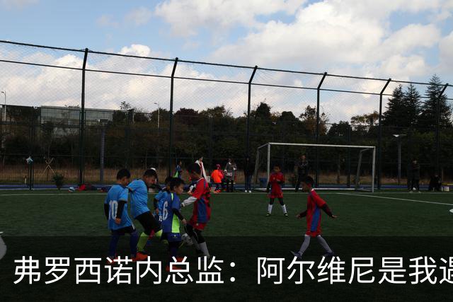 弗罗西诺内总监：阿尔维尼是我遇到过最出色教练之一