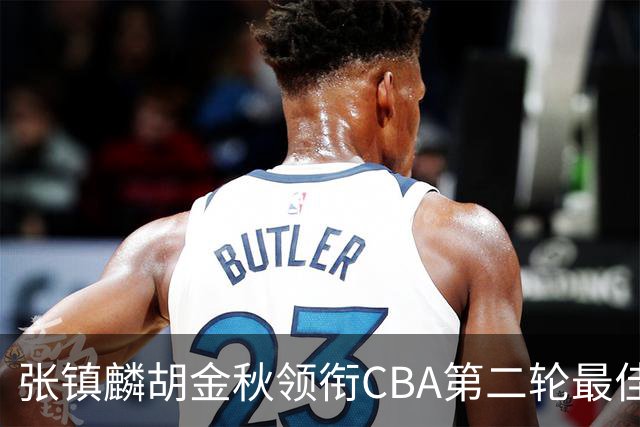 张镇麟胡金秋领衔CBA第二轮最佳阵容 付豪篮板称王