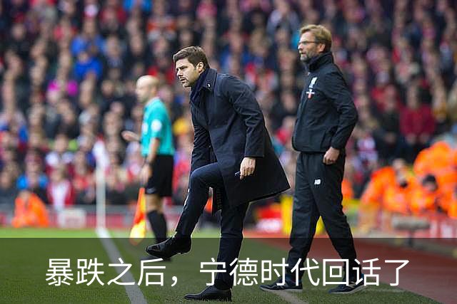 暴跌之后，宁德时代回话了