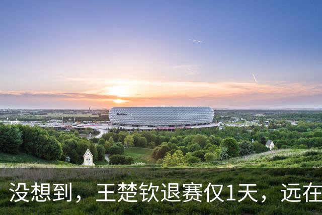 没想到，王楚钦退赛仅1天，远在德国的樊振东，会以这种姿态露面
