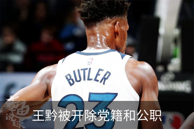 王黔被开除党籍和公职