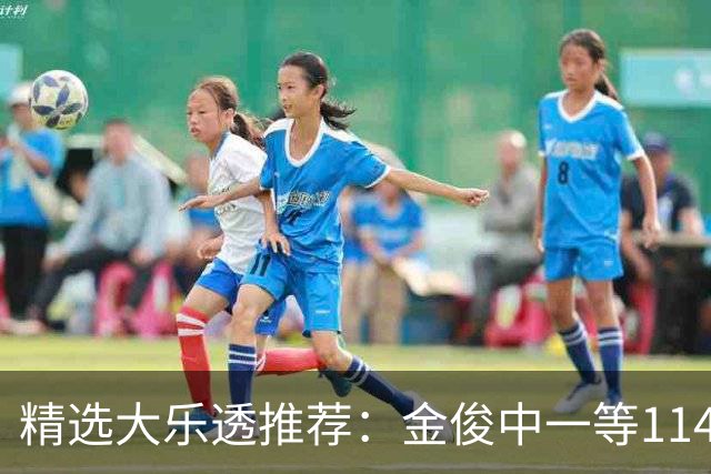 精选大乐透推荐：金俊中一等1143万 3大专家中85万