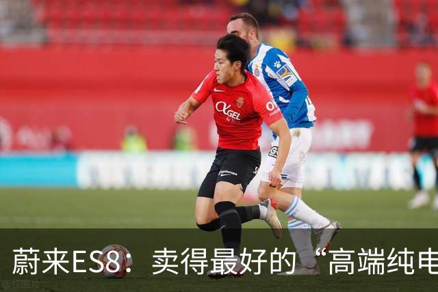 蔚来ES8：卖得最好的“高端纯电”，为什么车主一边掏钱一边骂？