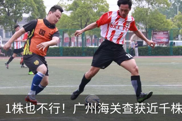 1株也不行！广州海关查获近千株盆栽，有625盆竟是“国宝级”植物