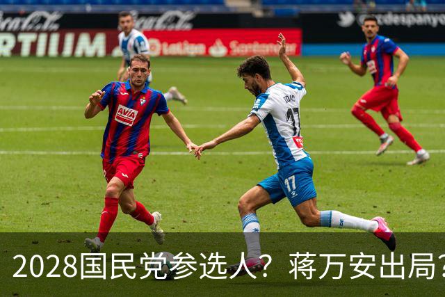 2028国民党参选人？蒋万安出局？一人要和卢秀燕一争高下